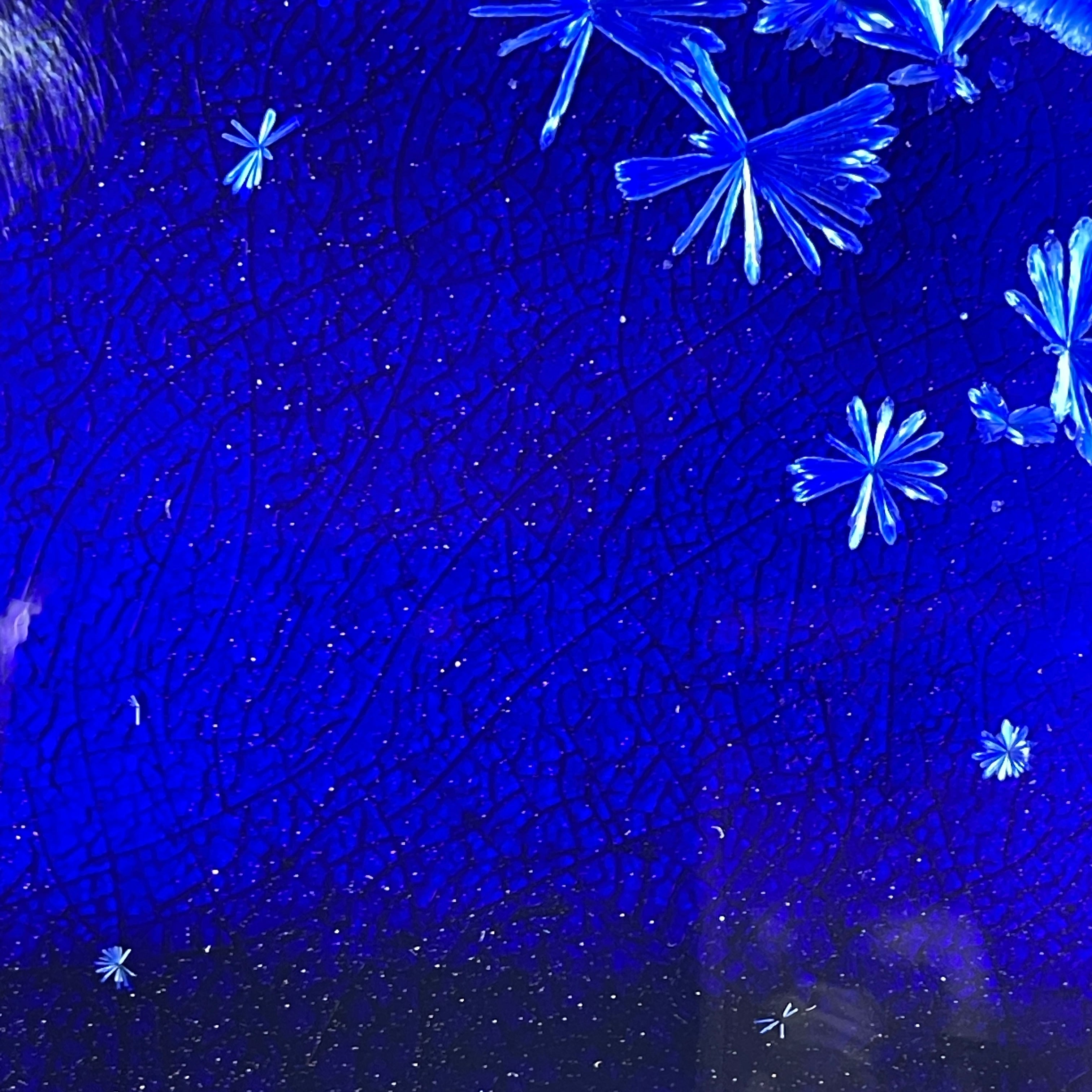 cobalt blue macro crystalline glazed tray by Hong Rubinstein One Dream Design TM