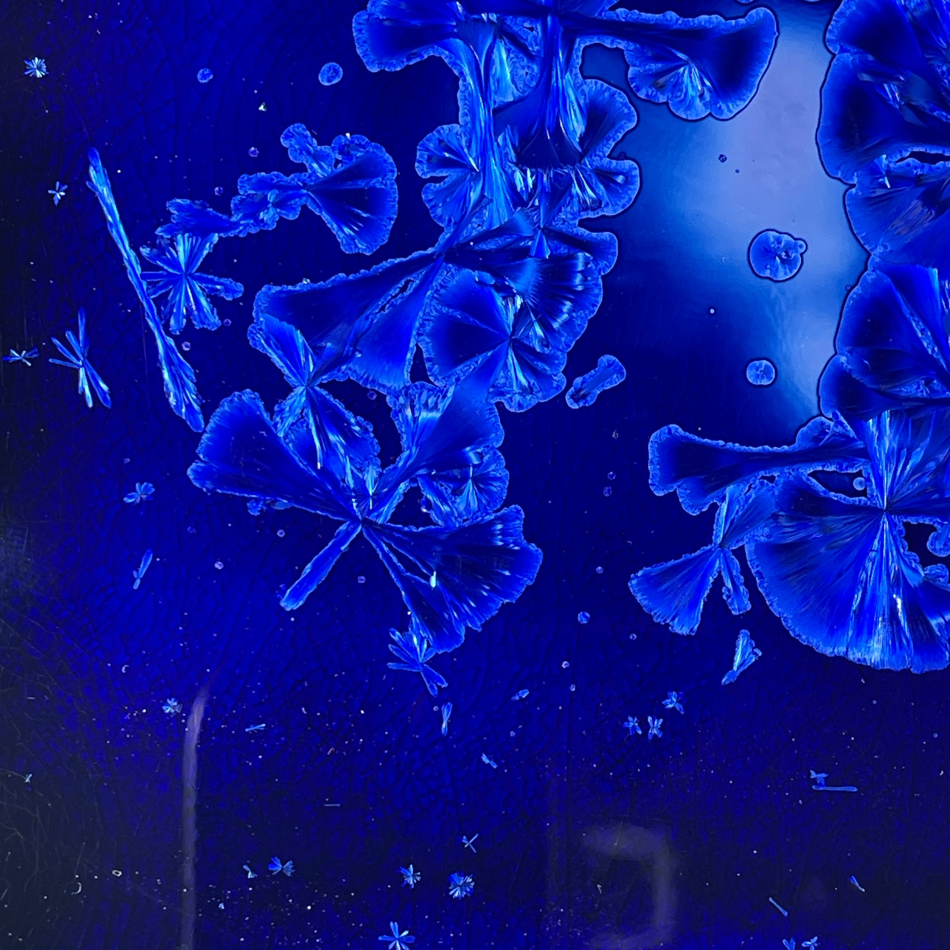 cobalt blue macro crystalline glazed tray by Hong Rubinstein One Dream DesignTM