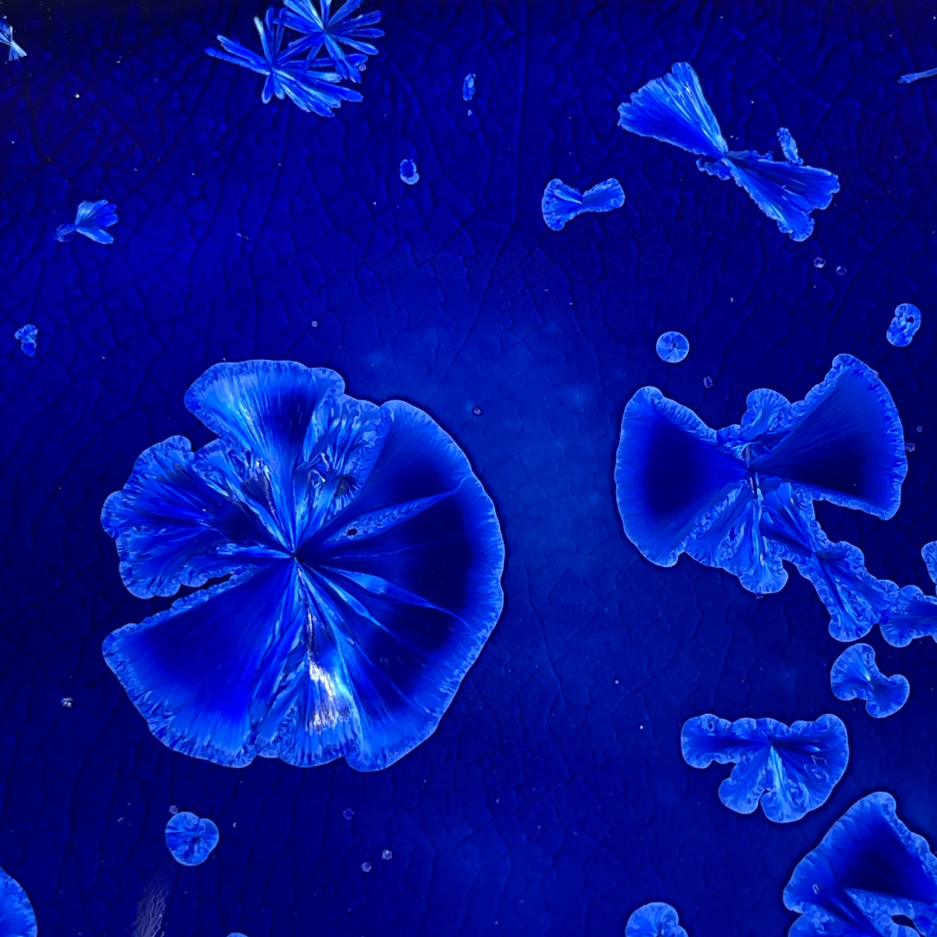 cobalt blue macro crystalline tray by Hong Rubinstein OneDream Design TM