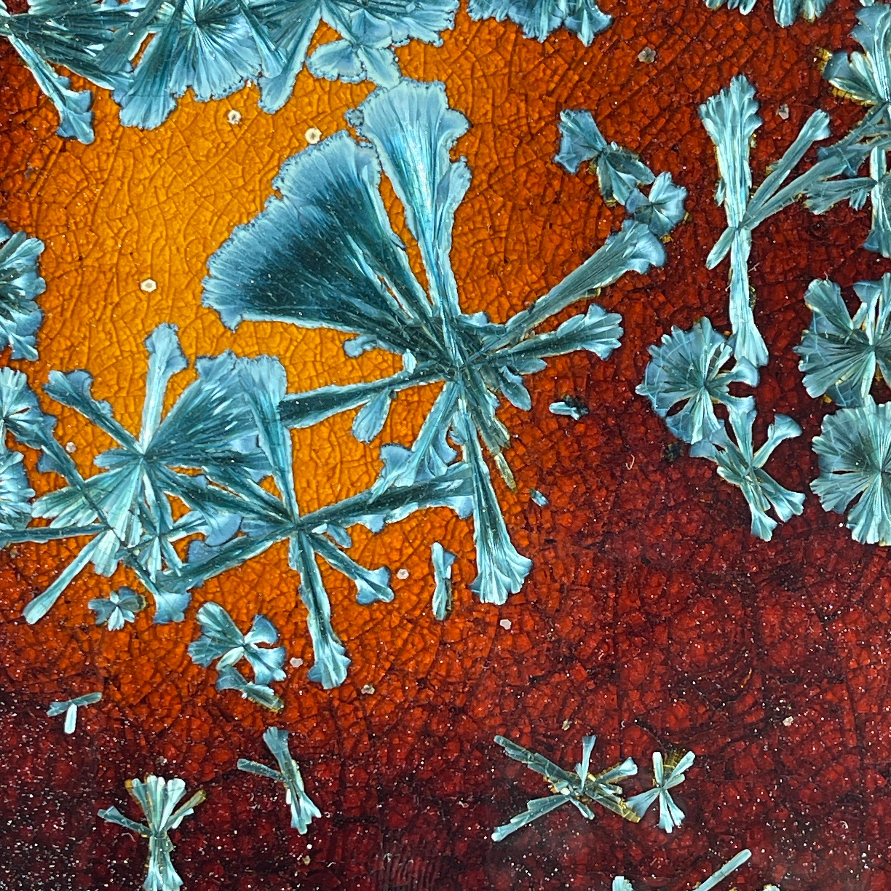 Amber Honey teal toned macro crystalline tray by Hong Rubinstein  of One Dream Design TM