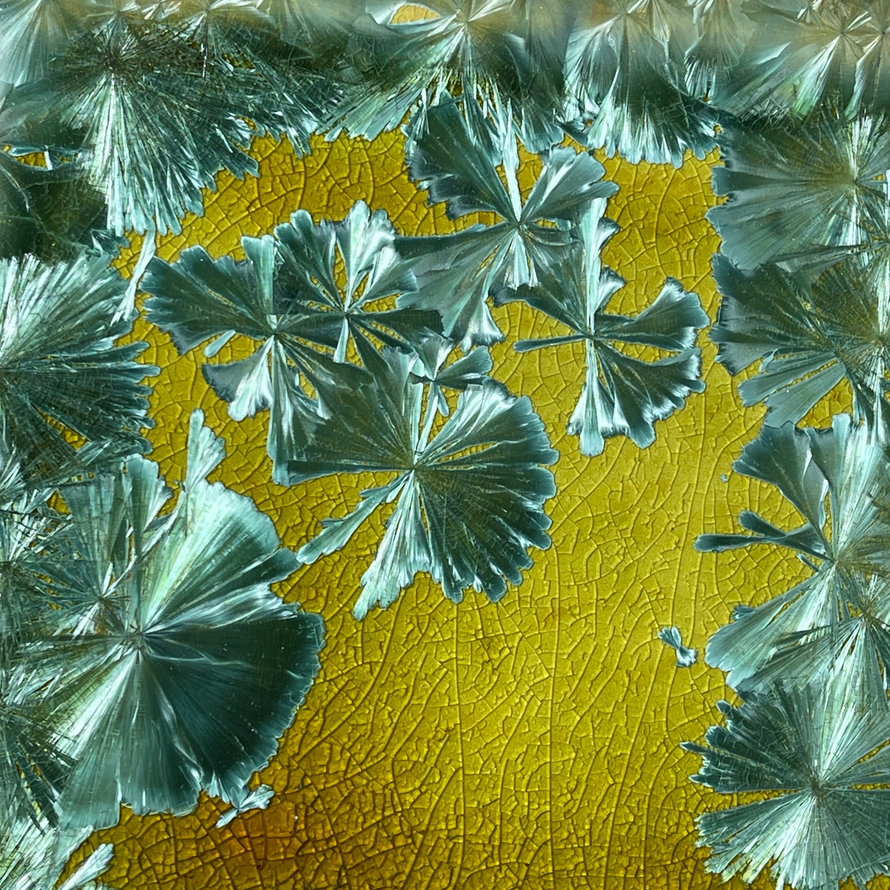spring green  macro crystalline glazed tray by Hong Rubinstein
