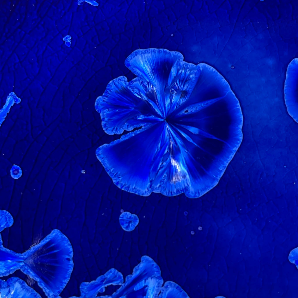 cobalt blue macro crystalline tray by Hong Rubinstein OneDream Design TM