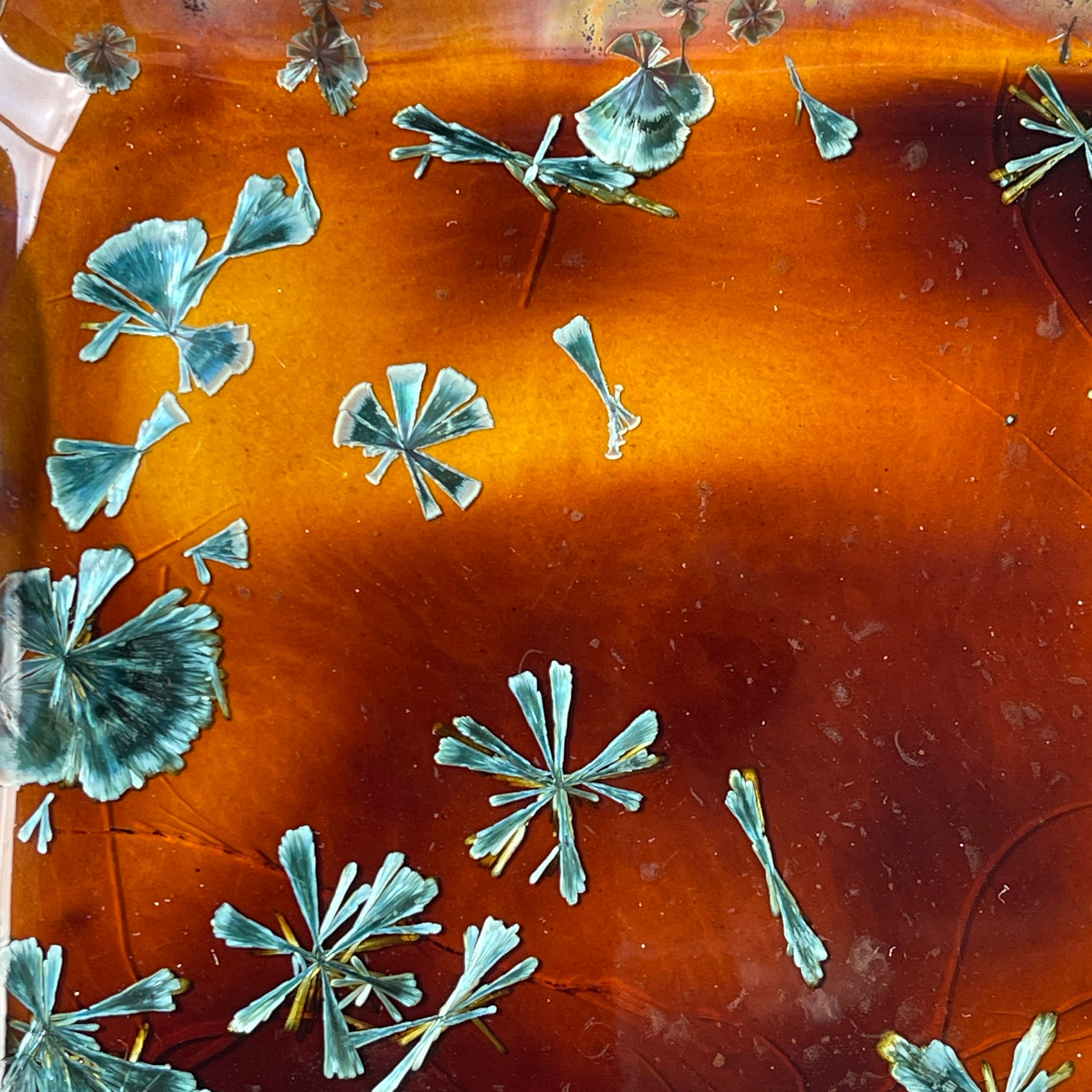 Amber Honey Teal Blue Macro crystalline tray 5.75" x 5.75"