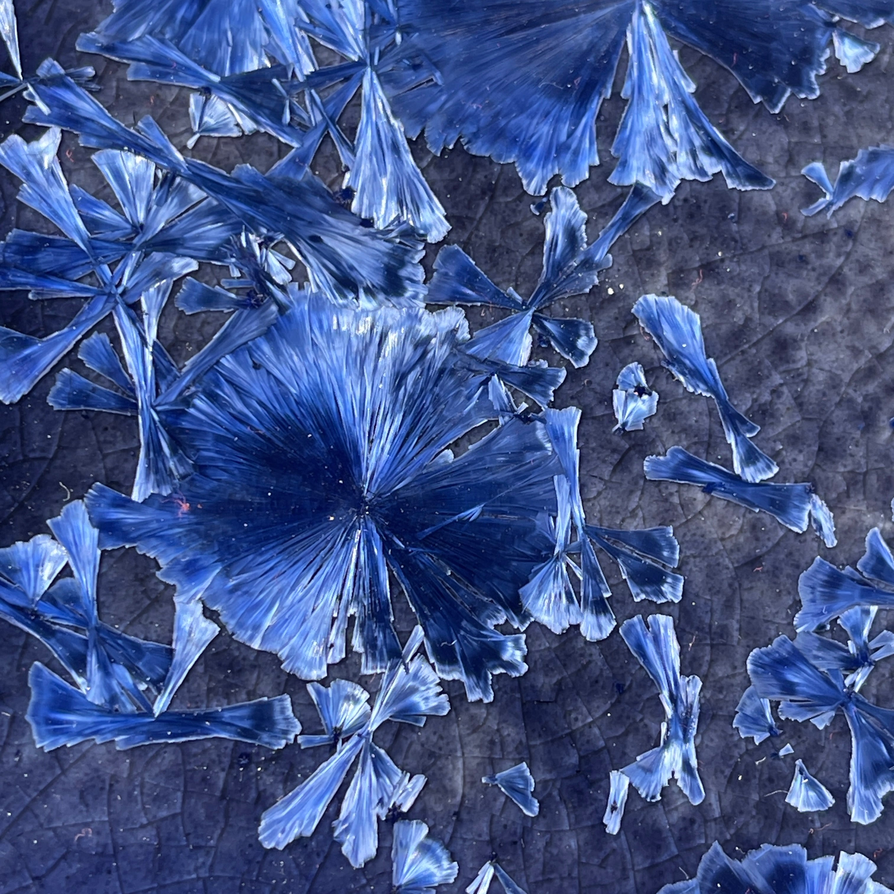 Blue purple macro crystalline glazed tray by Hong Rubinstein close up