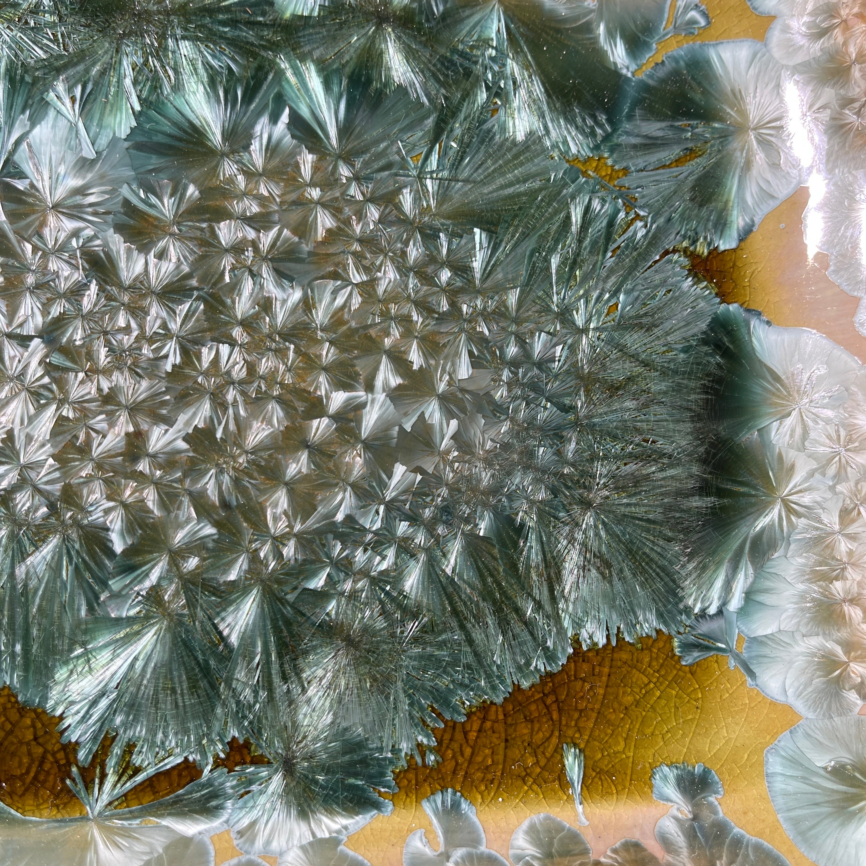 spring green refractive macro crystalline glazed tray by Hong Rubinstein