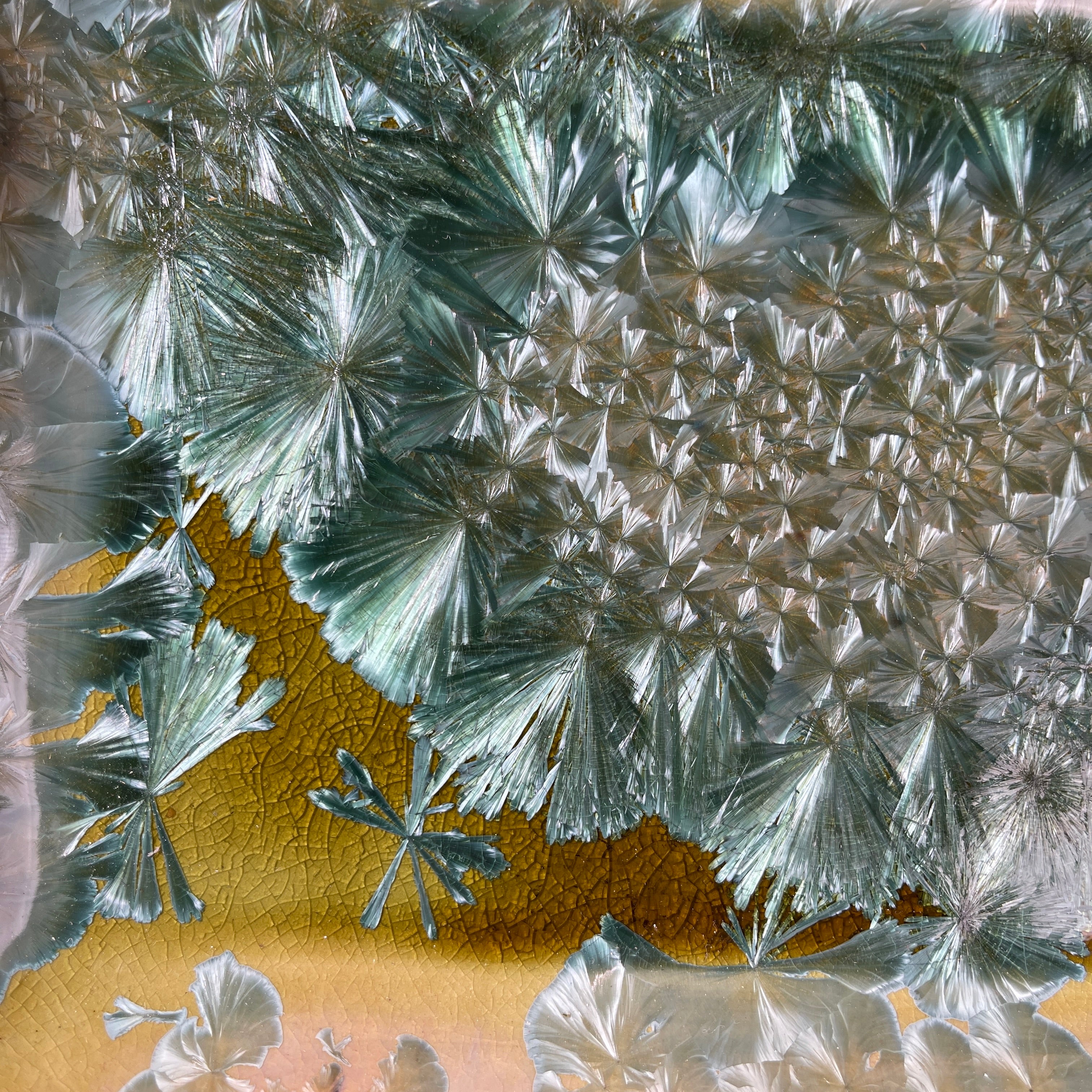 spring green refractive macro crystalline glazed tray by Hong Rubinstein