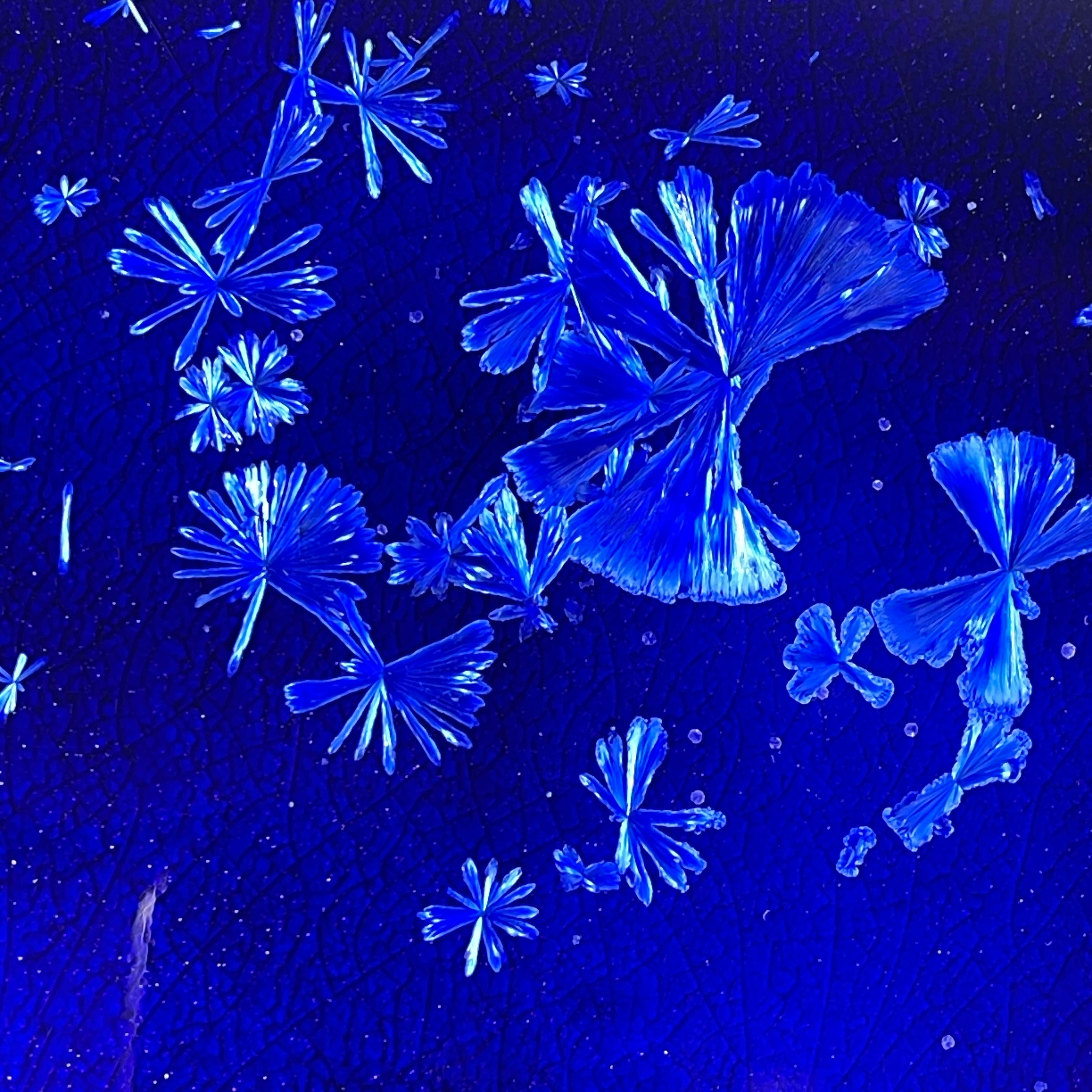 cobalt blue macro crystalline glazed tray by Hong Rubinstein One Dream Design TM