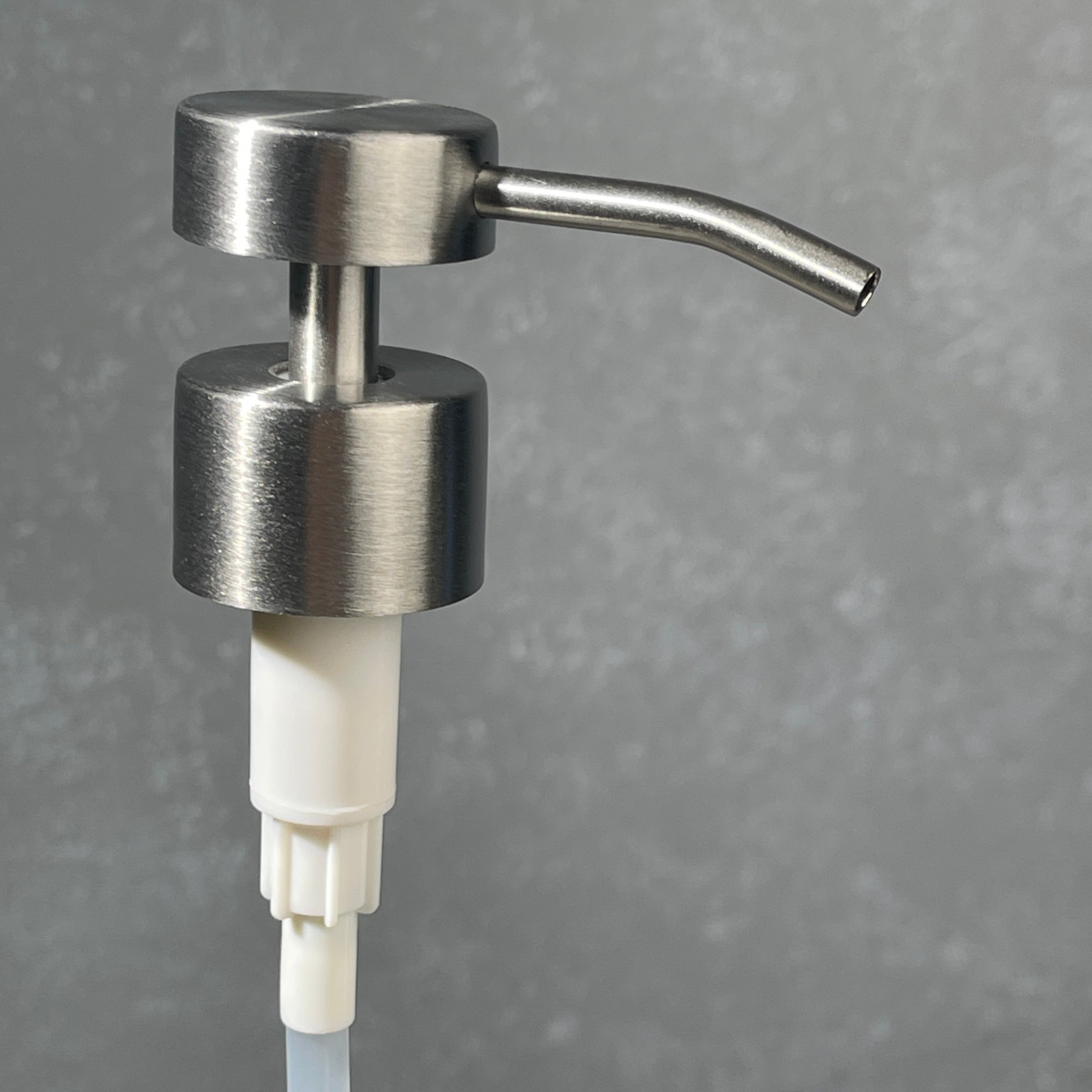 Cylindrical Head Bold Stainless 2cc