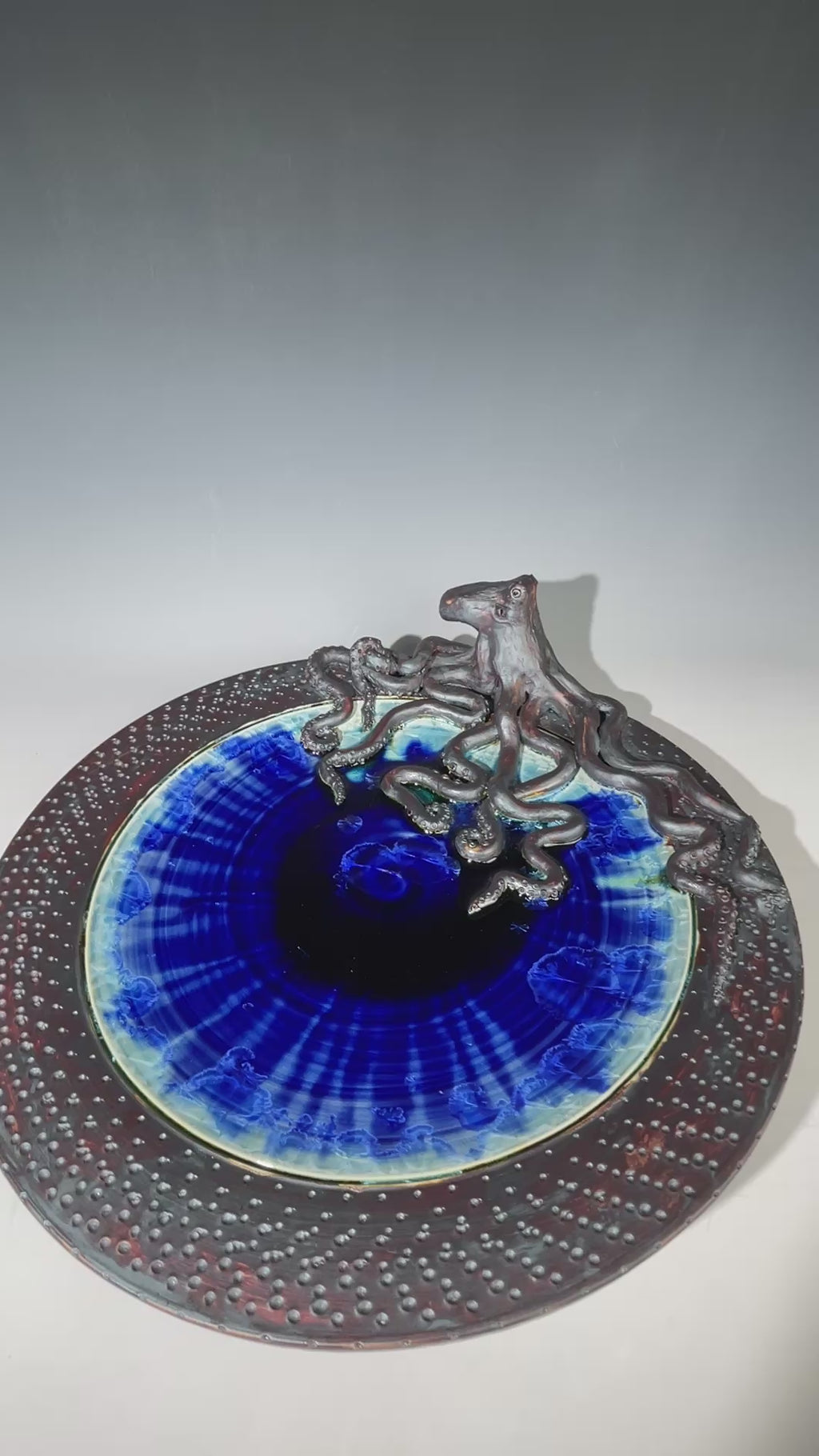 Octopus platter in cobalt to copper fade